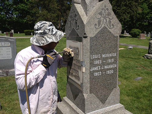 Cemetery Head Stones